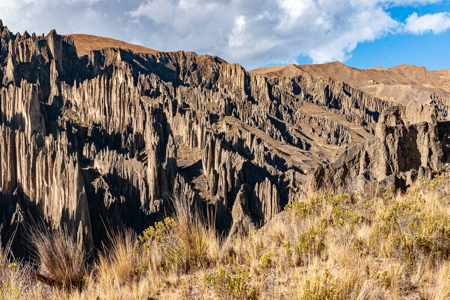 La Paz : vallée de Las Animas