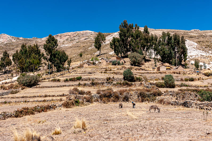 Lac Titicaca : île du Soleil, champ et village