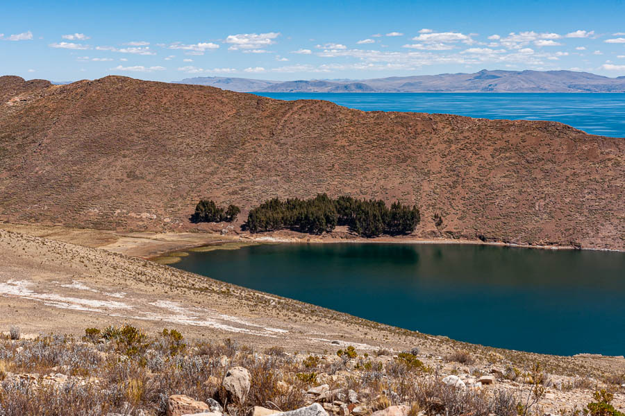 Lac Titicaca : île du Soleil, baie et bosquet