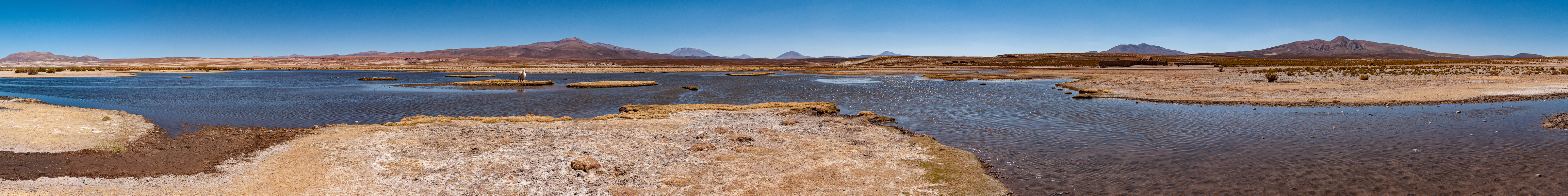 Rivière et lama