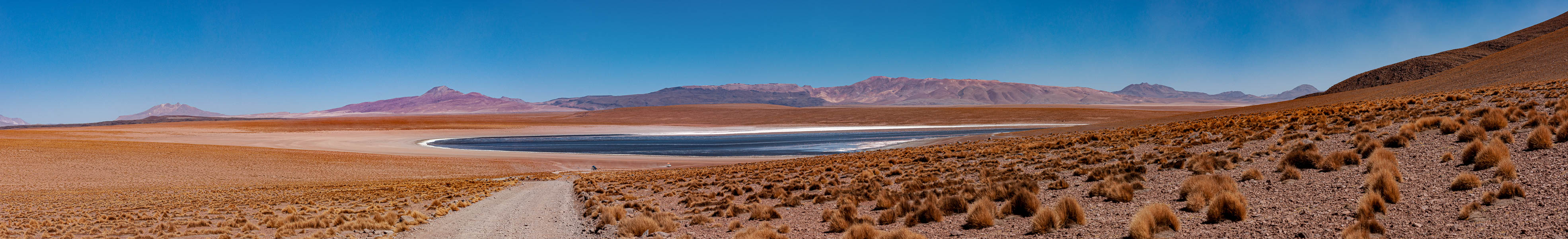 Laguna Hedionda