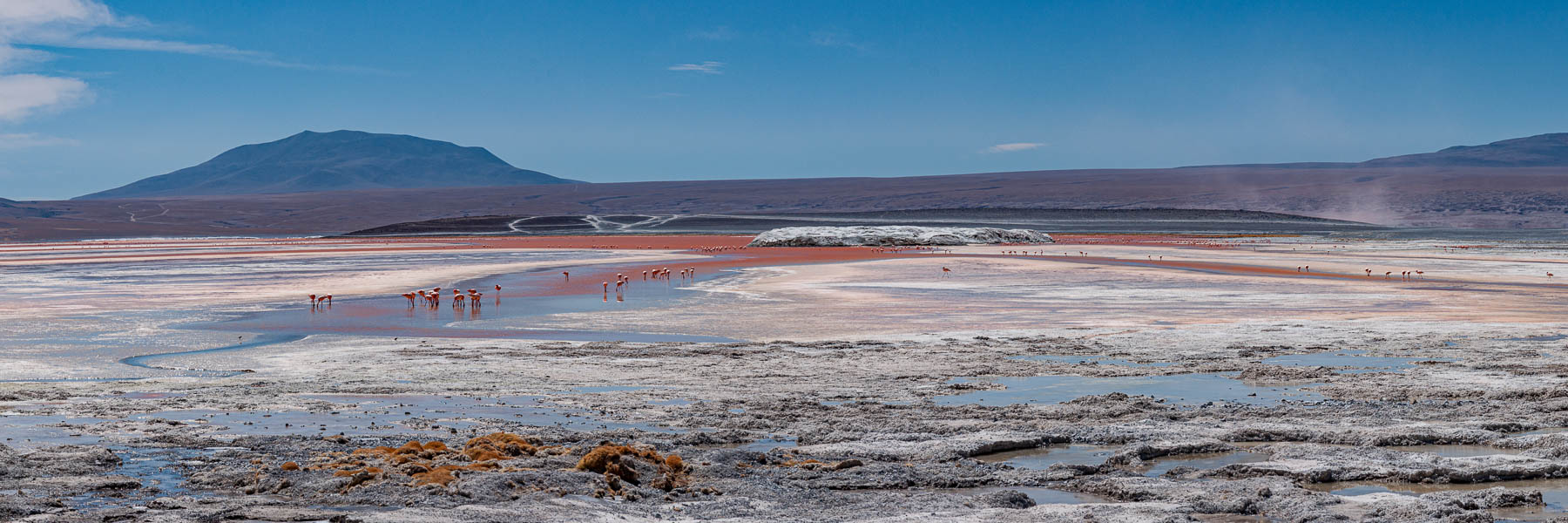 Laguna Colorada