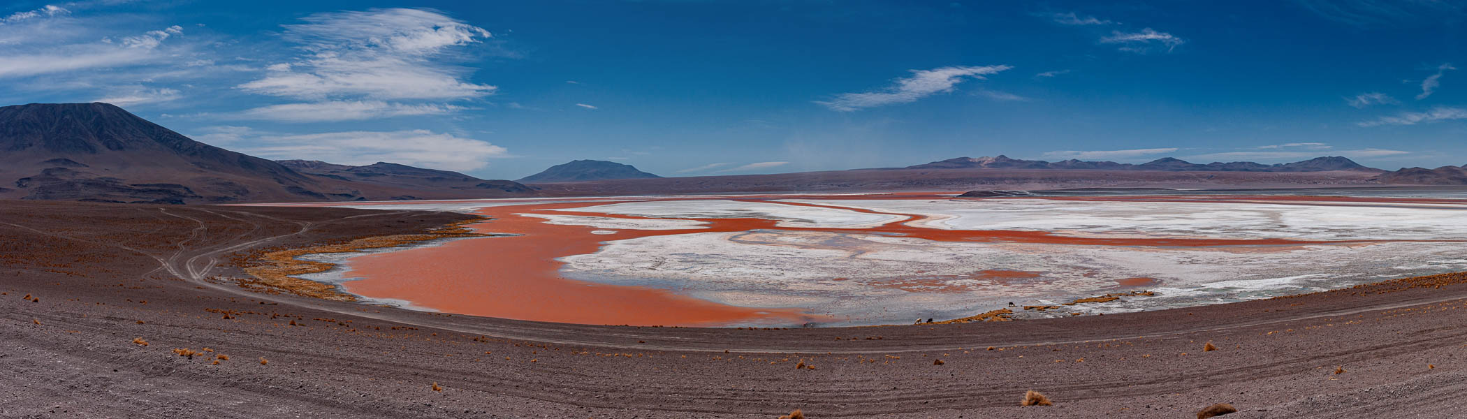 Laguna Colorada