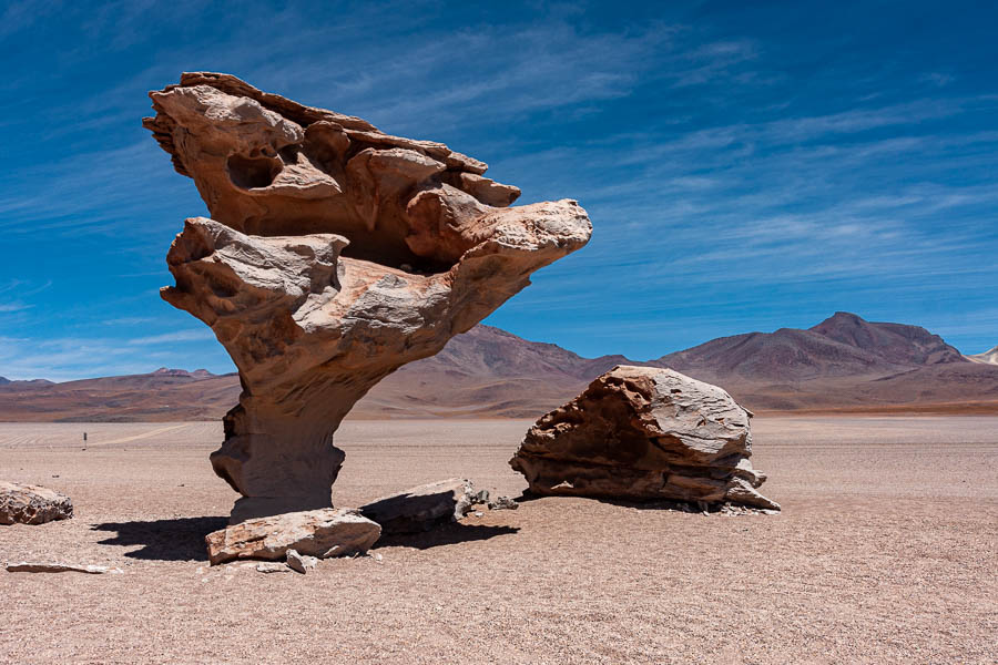 Désert Siloli : Árbol de Piedra (arbre de pierre)