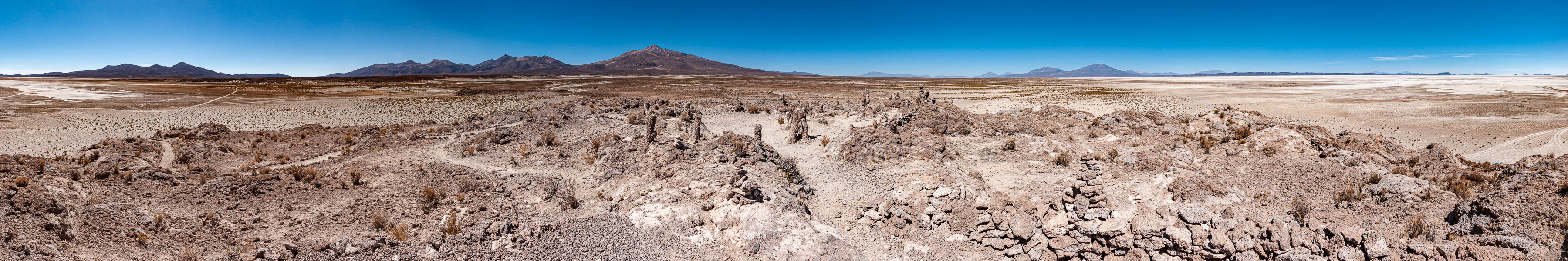 Cueva del Diablo : cactus pétrifiés