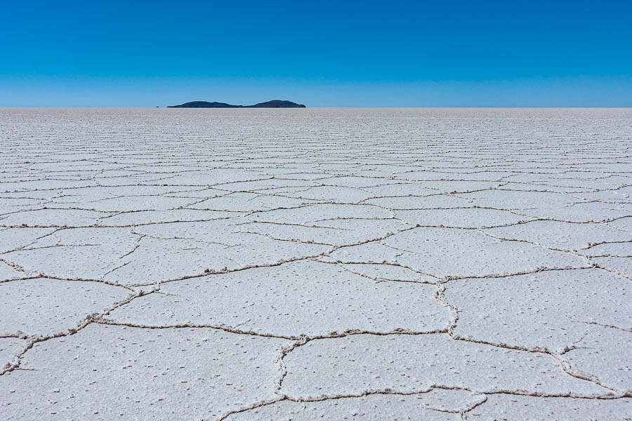 Salar d'Uyuni : île Incahuasi