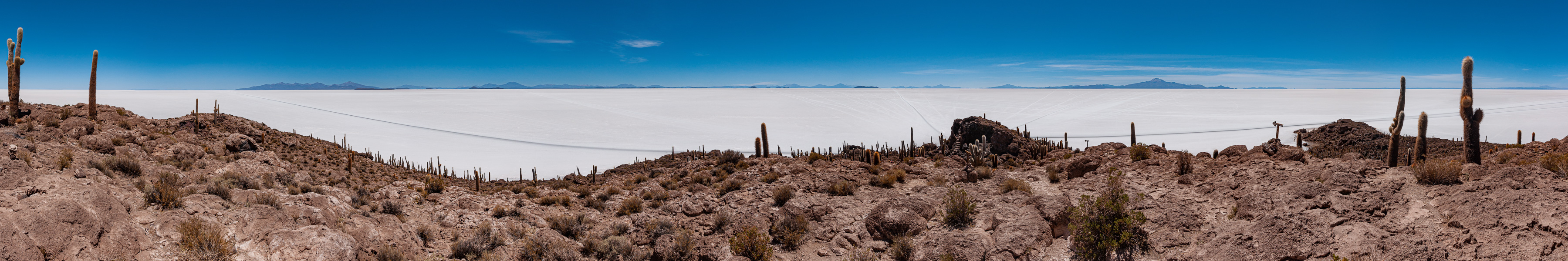 Salar d'Uyuni : île Incahuasi