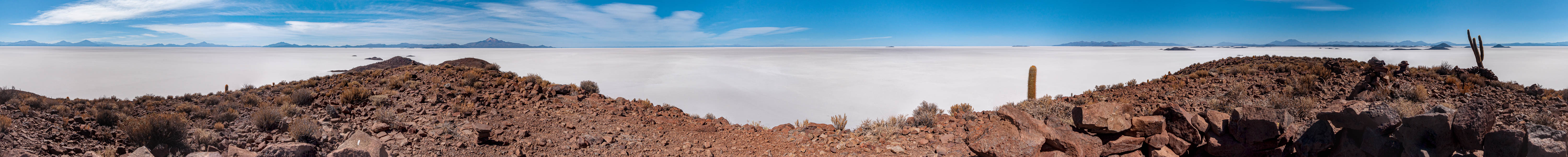 Salar d'Uyuni : île Pescado