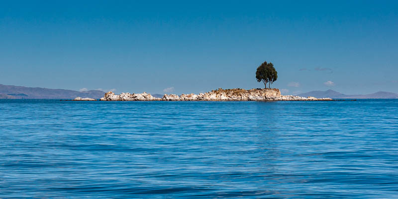 Lac Titicaca : îlot avec arbre isolé