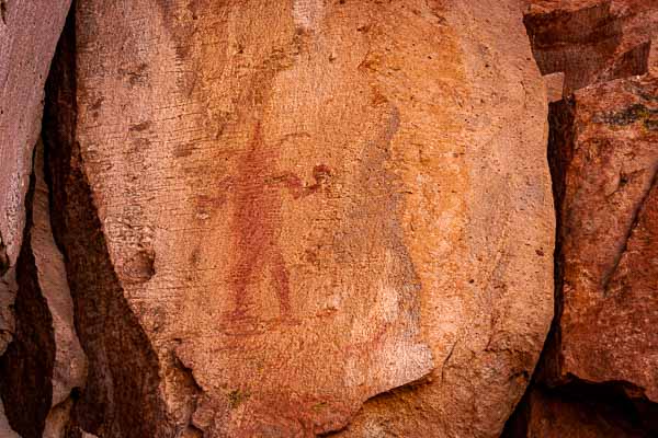Peintures rupestres