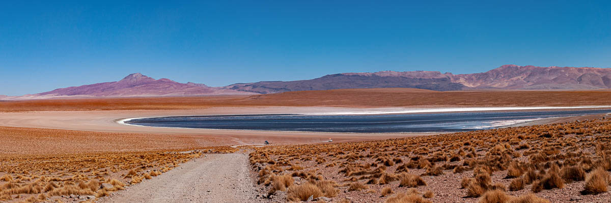 Laguna Hedionda