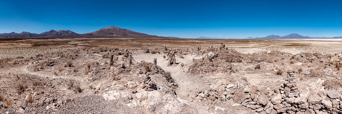Cueva del Diablo : cactus pétrifiés