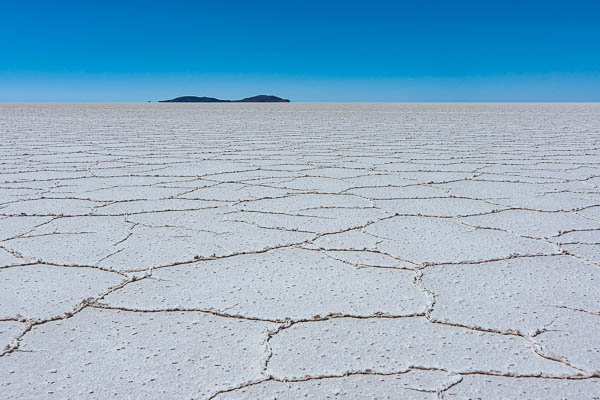 Salar d'Uyuni : île Incahuasi