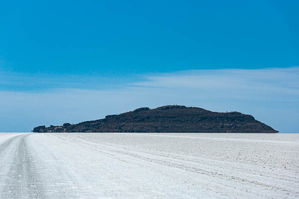 Salar d'Uyuni : île Incahuasi