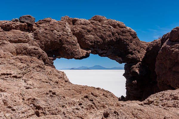 Salar d'Uyuni : île Incahuasi