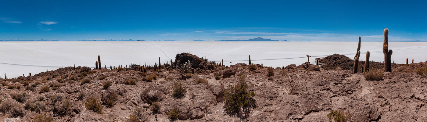 Salar d'Uyuni : île Incahuasi