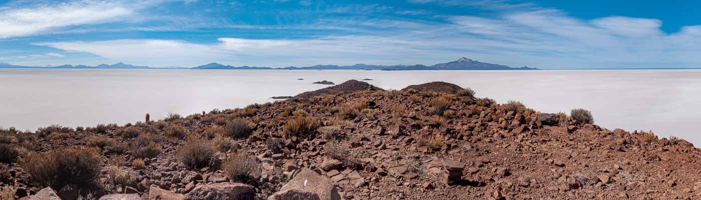 Salar d'Uyuni : île Pescado