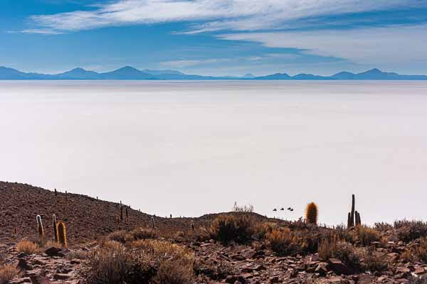 Salar d'Uyuni : île Pescado