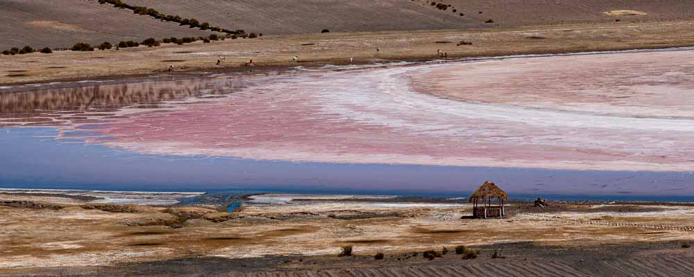 Cratère Jayu Quta : météorite, soucoupe volante ou maar ?