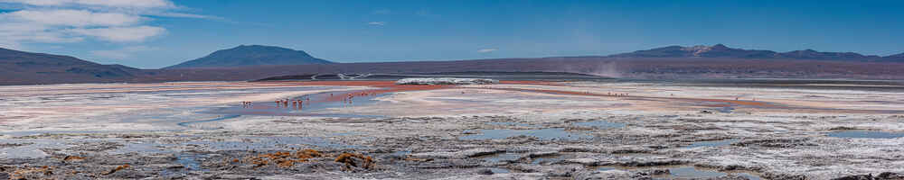 Laguna Colorada