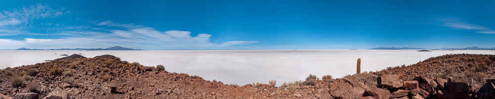 Salar d'Uyuni : île Pescado