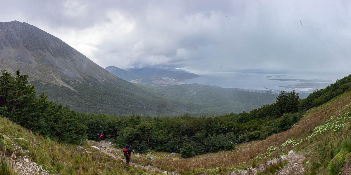 Ushuaia : cerro del Medio, orée du bois