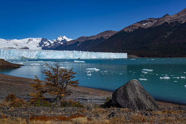 Glacier Perito Moreno : front nord