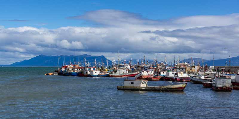 Puerto Natales : port de pêche