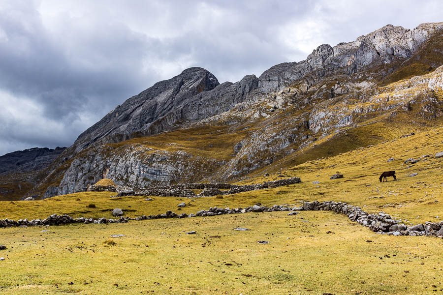 Camp de Cuartelwain