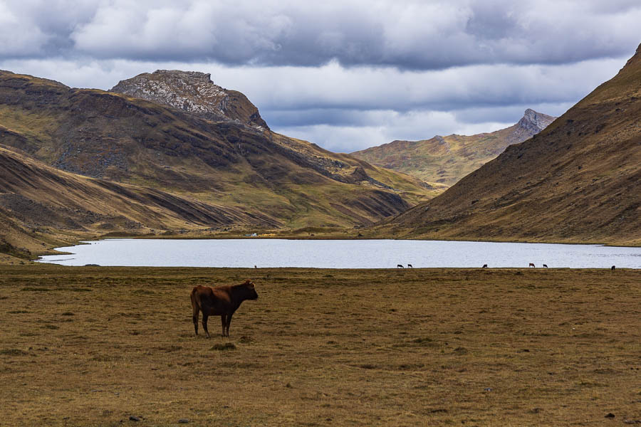 Laguna Mitucocha