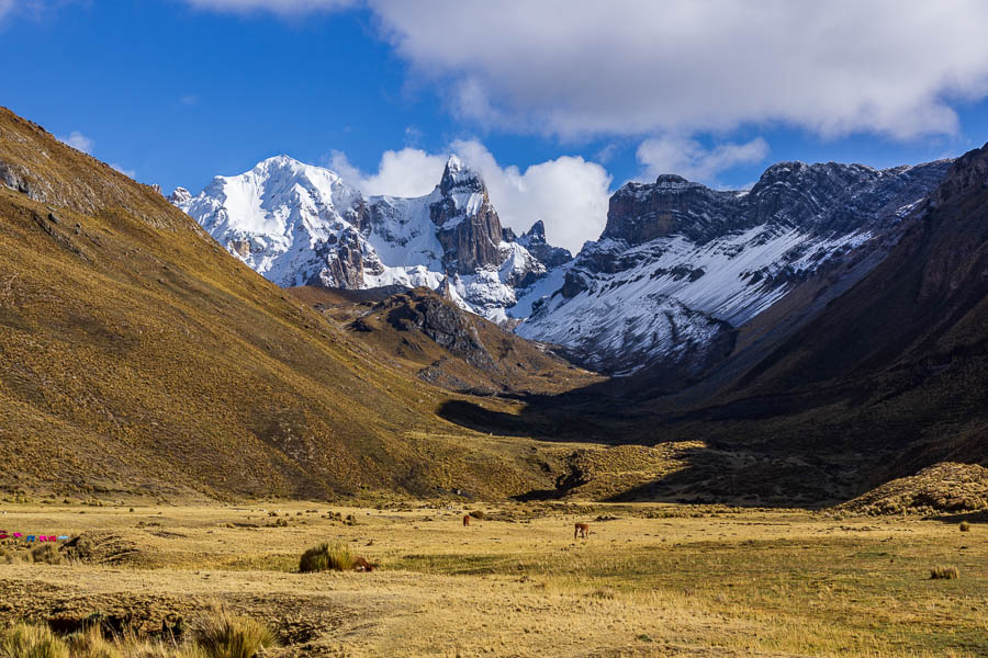 Nevados Puscanturpa