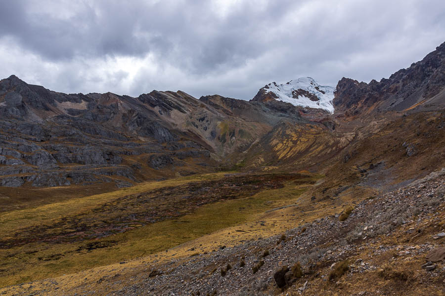 Zone humide et Nevado Raju Collota, 5350 m