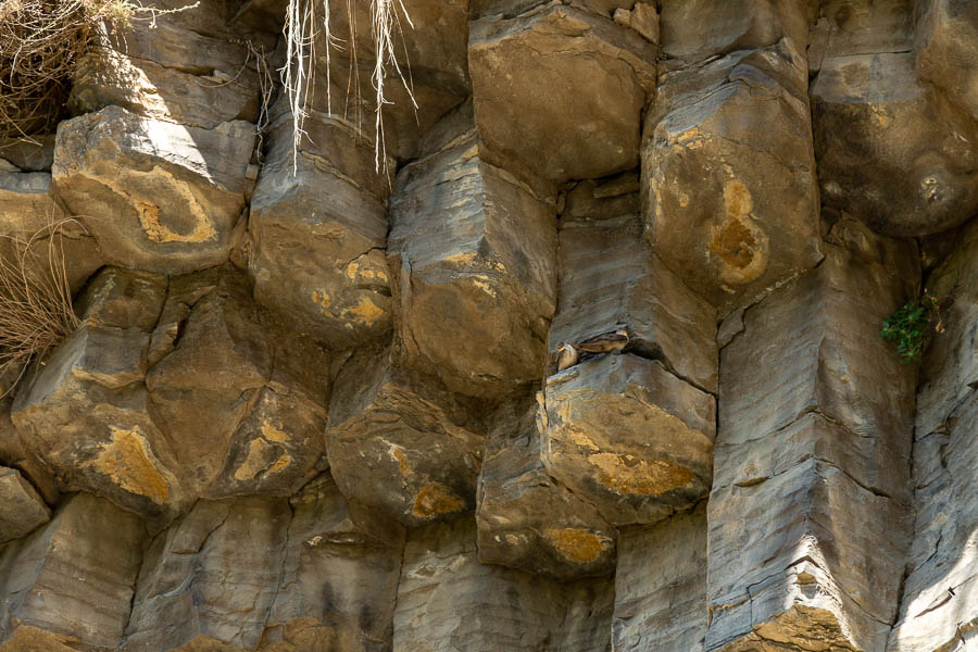 Garni : orgues basaltiques