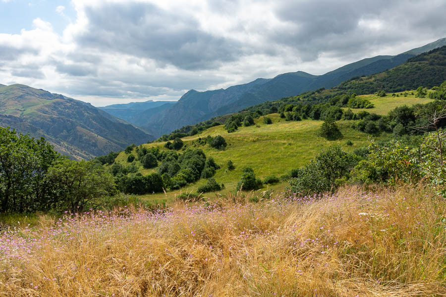 Vallée de la Bazarçay