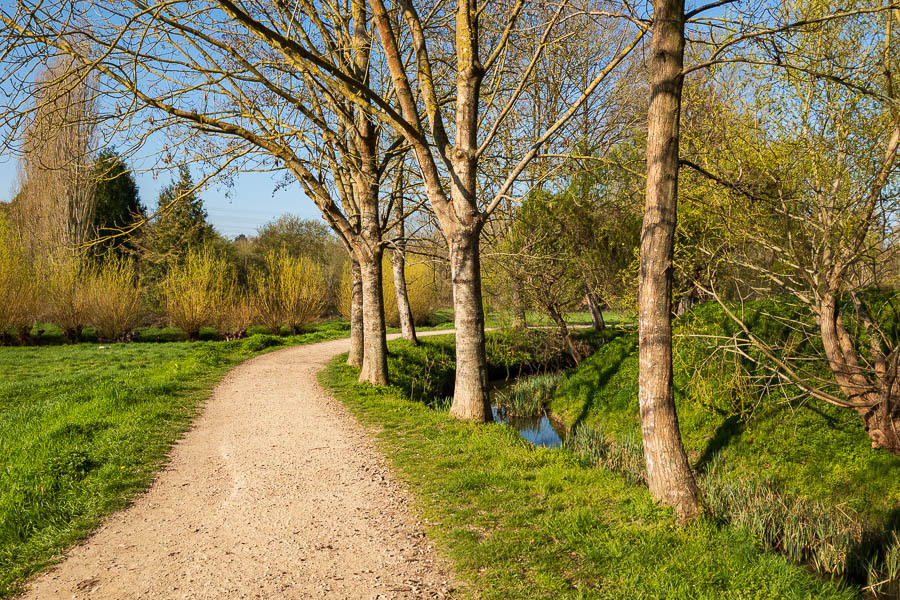 La Bièvre à Igny