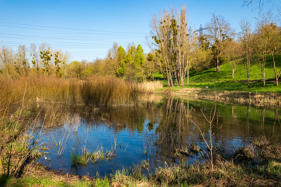 Bassin des Damoiseaux à Igny