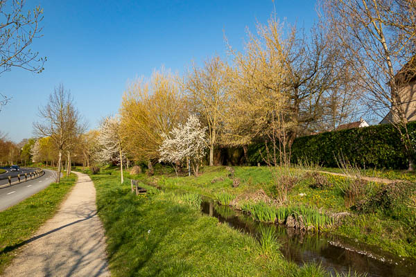 La Bièvre à Massy