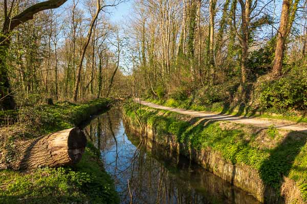 La Bièvre à Verrières-le-Buisson