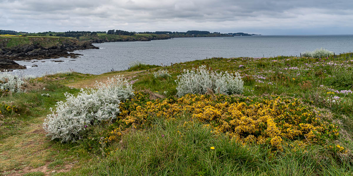 Belle-Île, GR 340, pointe de Taillefer : vue ouest