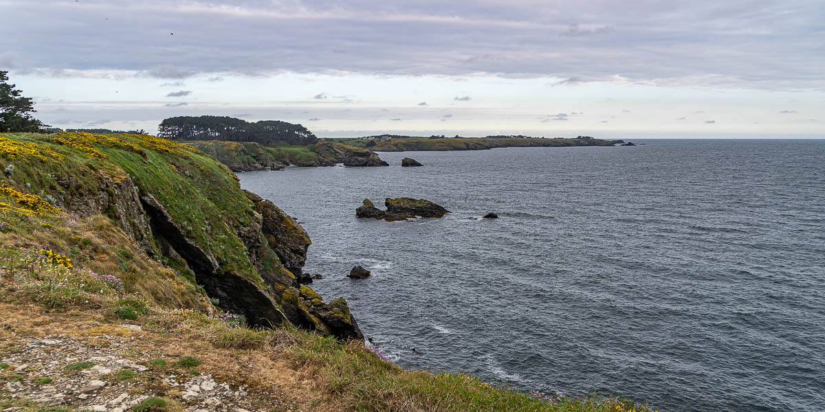 Belle-Île, GR 340 : pointe du Cardinal, vue ouest