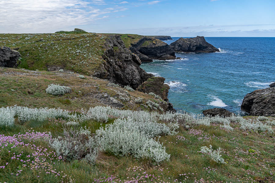 Belle-Île, GR 340, pointe des Poulains : côte ouest