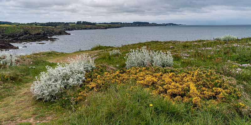 Pointe de Taillefer : vue ouest