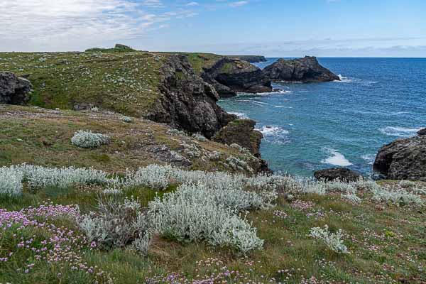 Pointe des Poulains : côte ouest