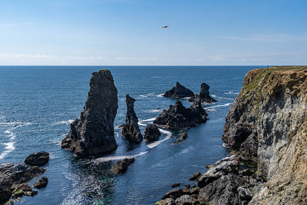 Aiguilles de port Coton
