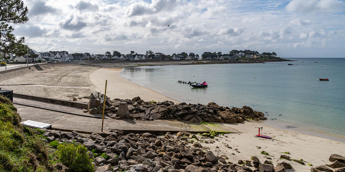 GR 34, Carnac : plage et pointe St-Colomban, troupeau de longe-côtes