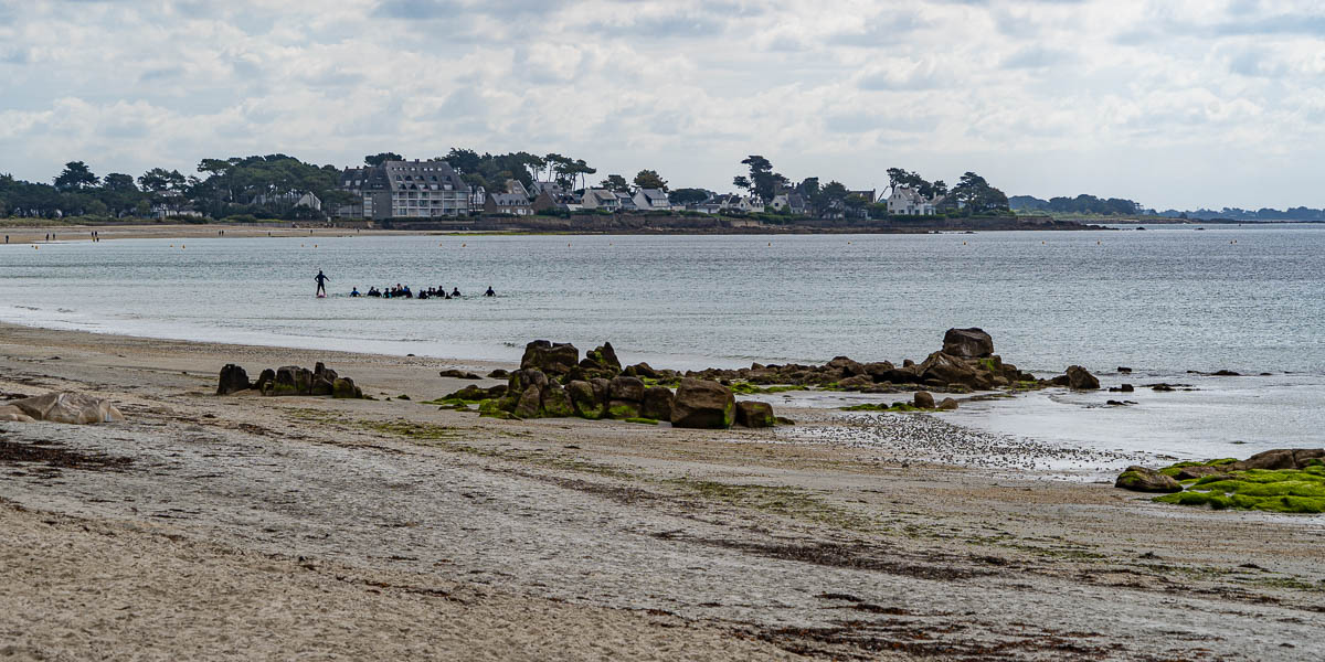 GR 34, Carnac, grande plage : troupeau de longe-côtes, pointe Churchill