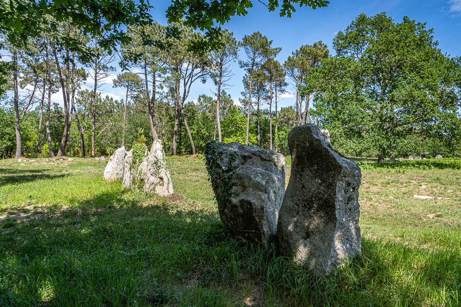 Carnac : alignements de Kerleskant