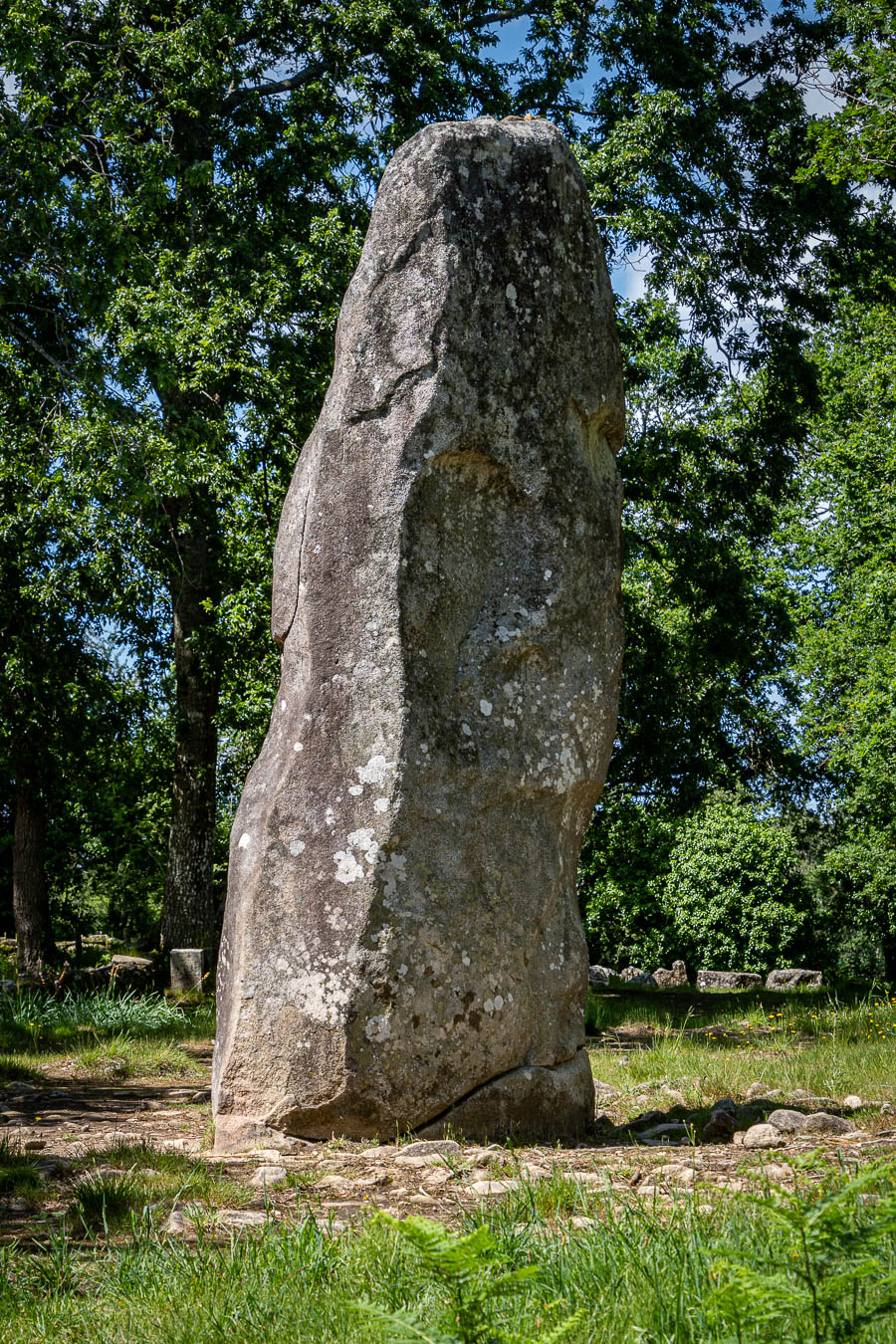 Carnac : géant du Manio, 6,5 m