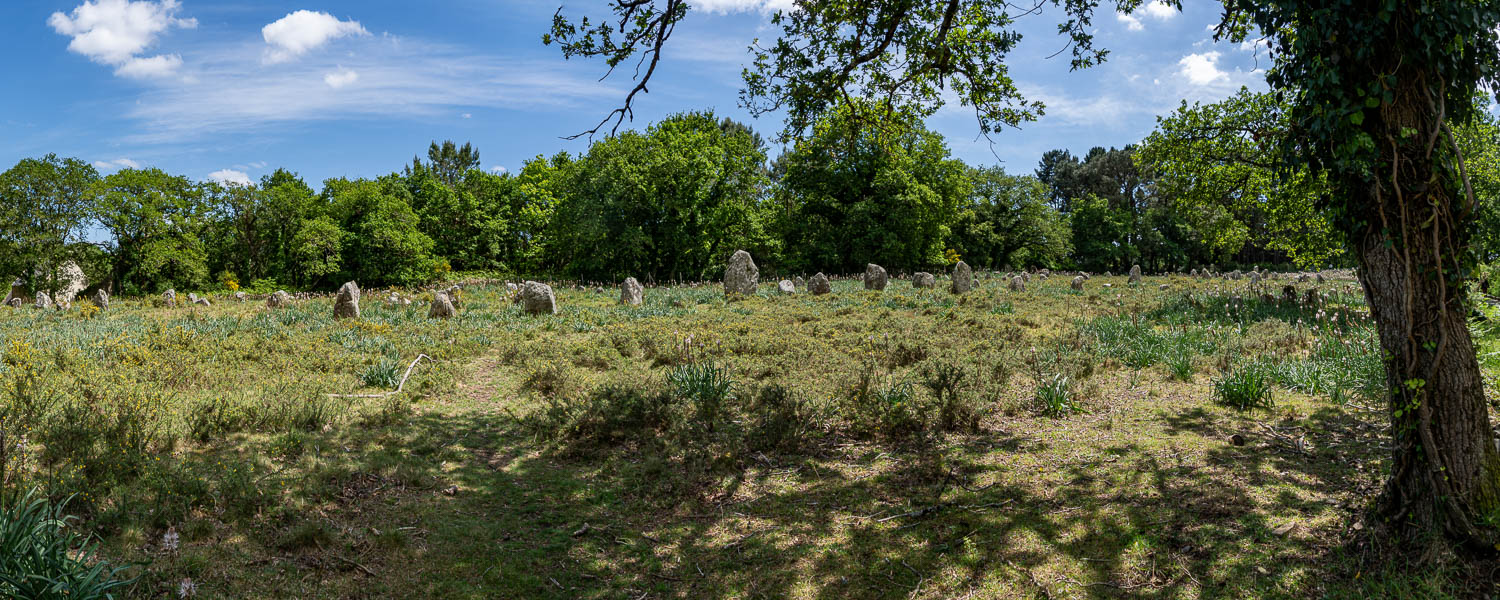 Carnac : alignements de Kermario
