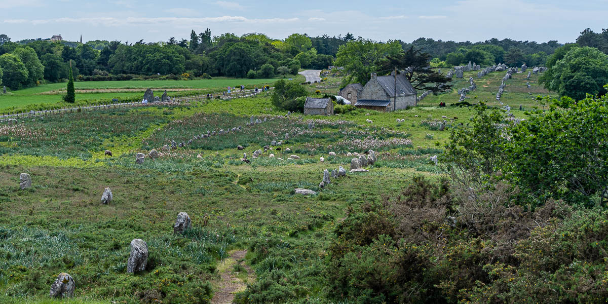 Carnac : alignements de Kermario